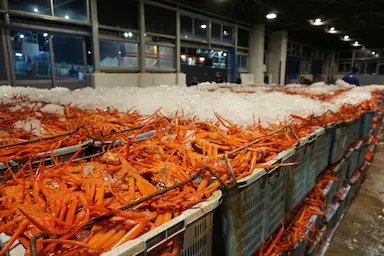 境港の海産物を全国へ業務提携開始のお知らせ