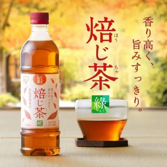 カーネーション鉢植え
