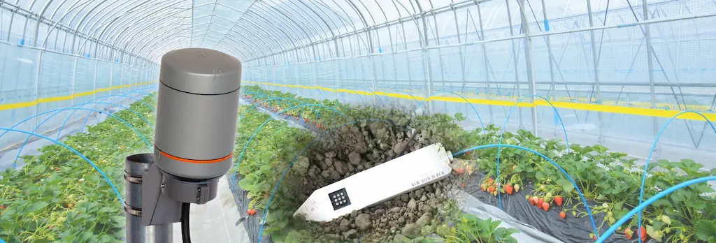 IoTで見える化した水やりと肥料の最適なタイミング