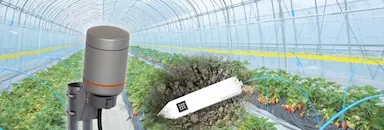 IoTで見える化した水やりと肥料の最適なタイミング