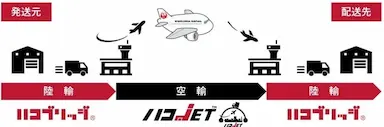 魚ポチ大阪市で注文翌日配送トライアル開始