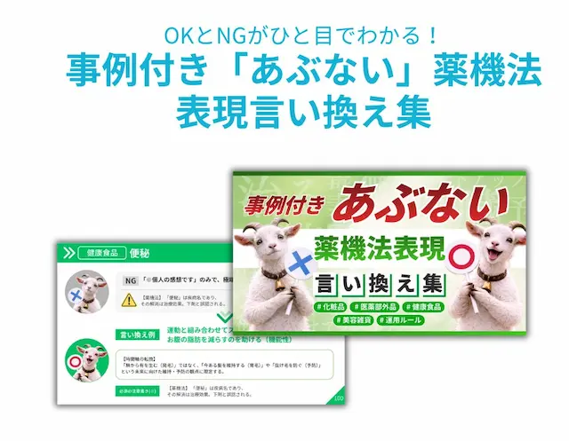 無料公開された薬機法表現対策レポート（イメージ）