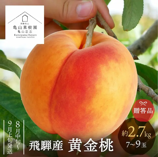 飛騨産黄金桃