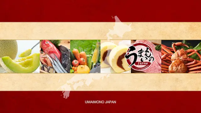 配信内容の紹介