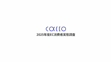 クレジットカード不正利用被害と対策実態調査