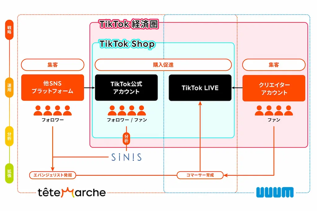 TikTok経済圏の図解