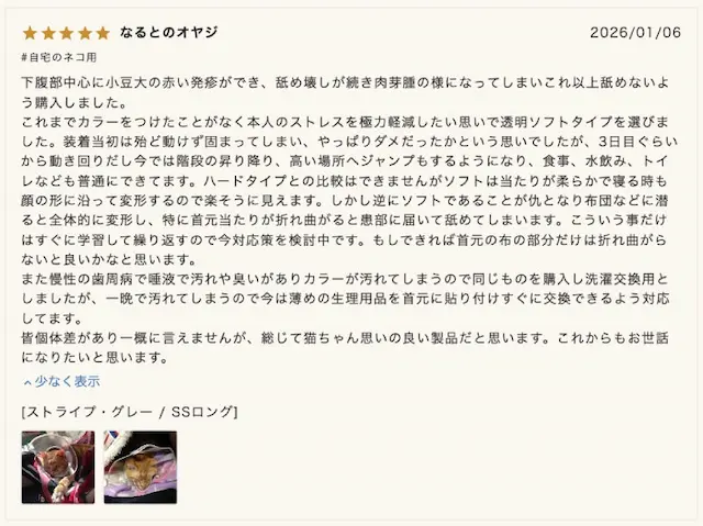 レビュー投稿画面例
