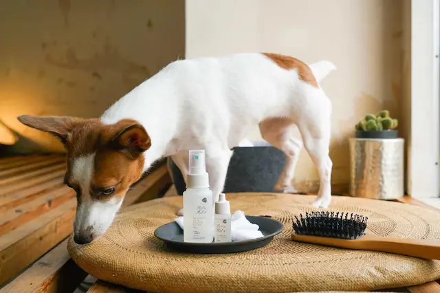 犬とペット用商品